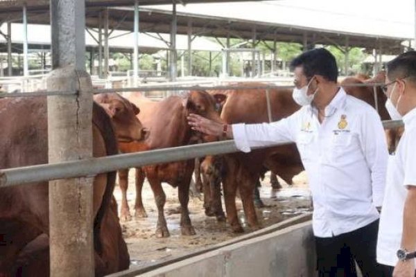 Bali Kendalikan PMK dan Rabies, Siap Sukseskan KTT G20 Mendatang