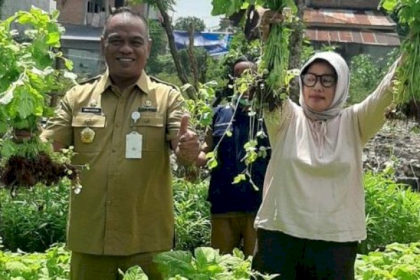 Manfaatkan Lahan Terbatas, Aplikasi SIDUPPA Diharapkan dapat Tingkatkan Pertanian di Palopo