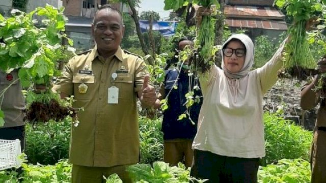 Manfaatkan Lahan Terbatas, Aplikasi SIDUPPA Diharapkan dapat Tingkatkan Pertanian di Palopo