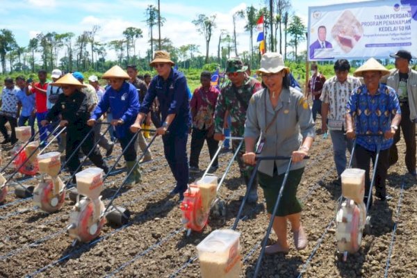 NasDem Konsisten Terus Garap Program Satu Juta Hektare Pajale