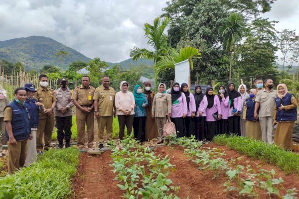 Kadis Pertanakbun Palopo Ibnu Hasyim Panen Perdana Sayur KWT Tarbiyah