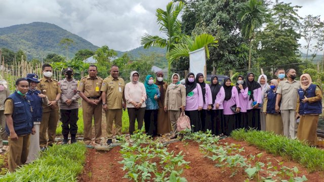 Kadis Pertanakbun Palopo Ibnu Hasyim Panen Perdana Sayur KWT Tarbiyah