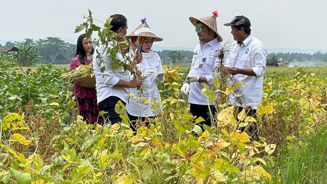 “BPS: Pertanian adalah salah satu leading sektor tumpuan ekonomi Indonesia”