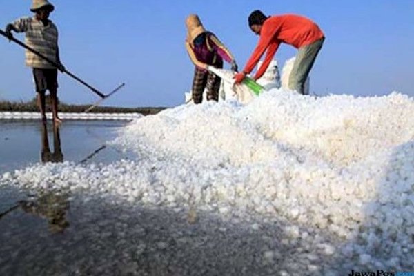 Kembangkan Industri Garam di Kabupaten Maros, Pemkab Gandeng Tim Ahli dari Unhas