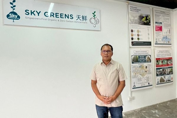 Wali Kota Danny Siapkan Konsep City Farming Sky Greens Singapura untuk Lorong Wisata