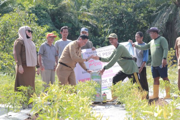 Tangani Inflasi, Pemkab Luwu Serahkan Bantuan Bibit Cabai dan Itik Ke Petani