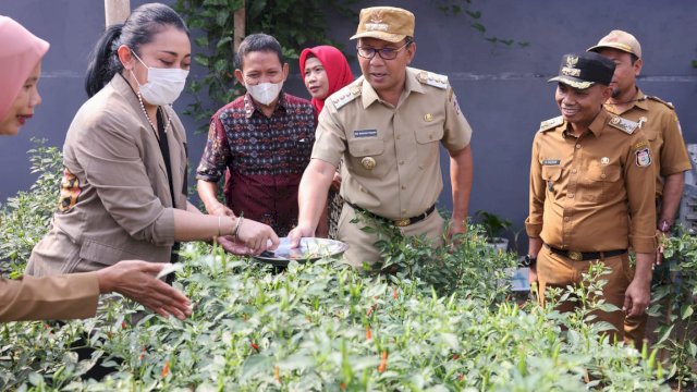 Andalkan Tanaman Hidroponik, Danny Pomanto Kunjungi Longwis Dewi Sari Zurich Tamalanrea