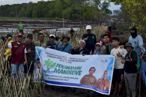 DKP Sulsel Bersama Tanam 40 Ribu Batang Mangrove di Pesisir Wajo