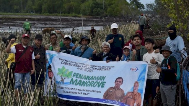 DKP Sulsel Bersama Tanam 40 Ribu Batang Mangrove di Pesisir Wajo