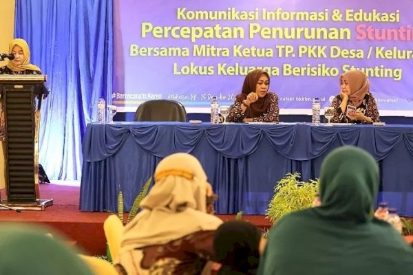 Lewat Kegiatan KIE, BKKBN Sulsel Ingin Pastikan Percepatan Stunting Capai Target di Tingkat Desa