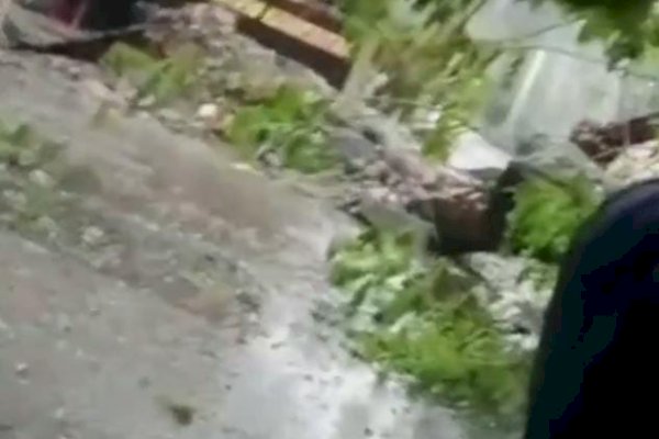 Hat-Hati, Ada Pohon Tumbang di Jalan Cendrawasih Makassar