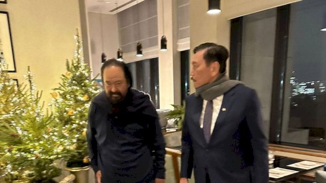 Soal Pertemuan Surya Paloh dan Luhut di London, Ini Penjelasan Wasekjen NasDem