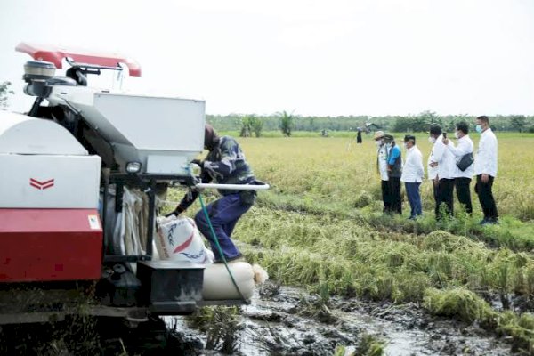 Gubernur Kalteng: Keberlanjutan Food Estate Memperkuat Pangan Indonesia