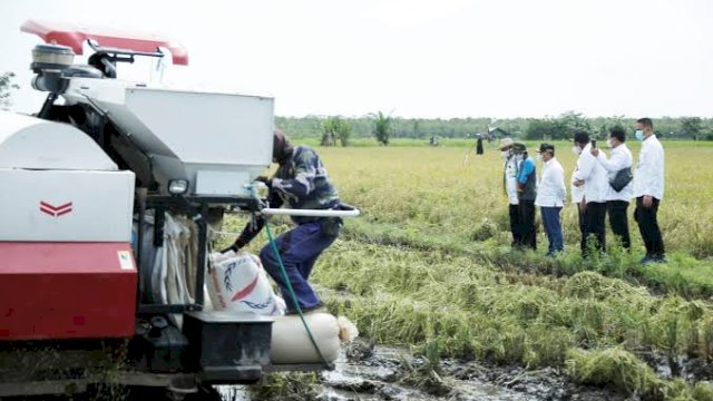 Gubernur Kalteng: Keberlanjutan Food Estate Memperkuat Pangan Indonesia