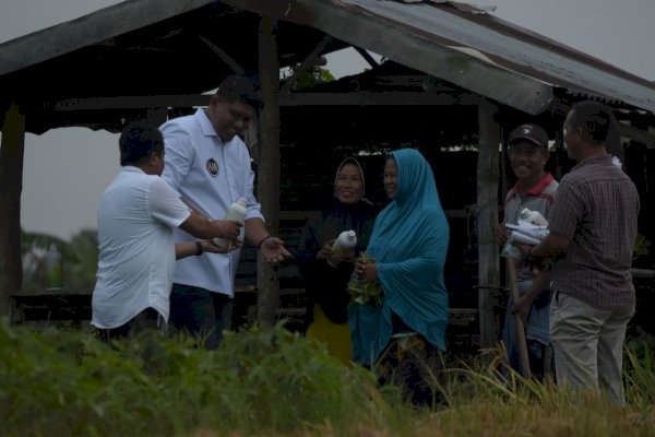 Peduli Petani, Anhar Rahman Keliling 167 Desa Bagikan Pupuk Gratis di Gowa