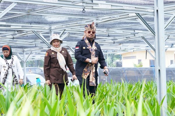 Mentan SYL Launching Pusat Nursery Kelapa Genjah di Kabupaten Batang