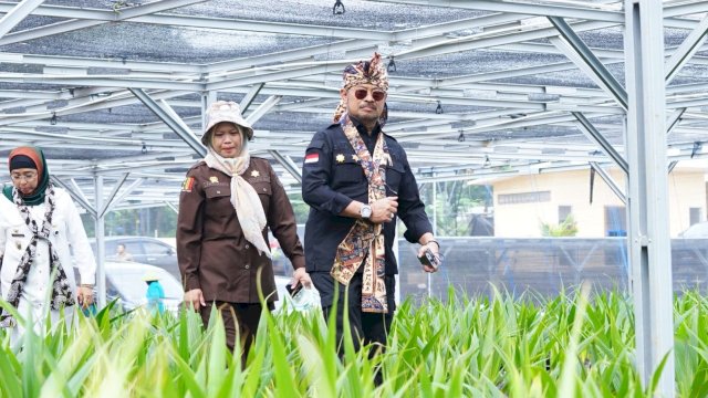Mentan SYL Launching Pusat Nursery Kelapa Genjah di Kabupaten Batang