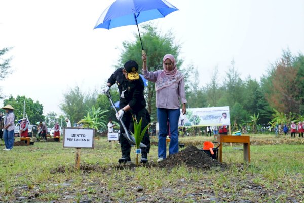 Kembangkan Kelapa Genjah Klaster Pariwisata di Kabupaten Batang, Mentan SYL Dorong Peningkatan Kelapa Kelas Dunia