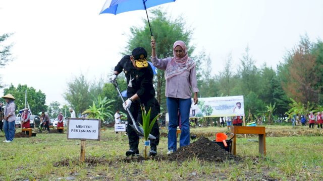 Kembangkan Kelapa Genjah Klaster Pariwisata di Kabupaten Batang, Mentan SYL Dorong Peningkatan Kelapa Kelas Dunia