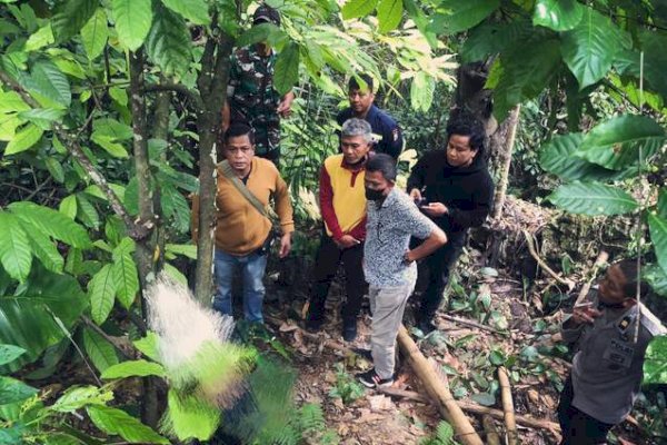 Bocah 1 Tahun di Tana Toraja Ditemukan Tewas Tergantung di Pohon