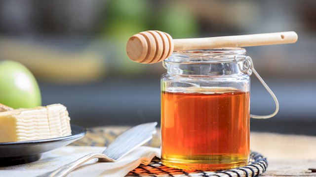 Sakit Maag? Jangan Buru-buru Kedokter, Ini 4 Obat Herbal Sering Dijumpai di Rumah