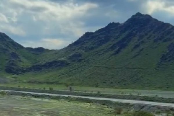 Viral Video Pegunungan Arab Saudi Menghijau