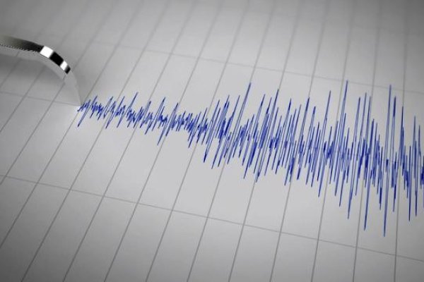 BMKG Catat Jayapura Papua Diguncang 4 Kali Gempa Malam Ini