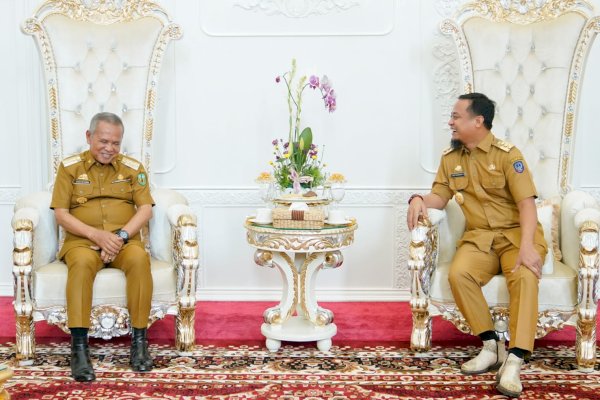 Dapat Kucuran Bantuan Keuangan, Bupati Luwu Sampaikan Terima Kasih ke Gubernur