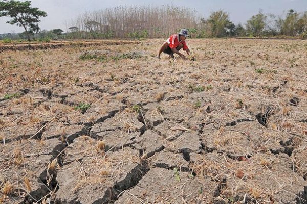 BMKG Ajak Masyarakat Panen Air Hujan Antisipasi Kemarau Kering