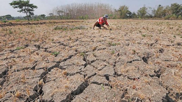 BMKG Ajak Masyarakat Panen Air Hujan Antisipasi Kemarau Kering