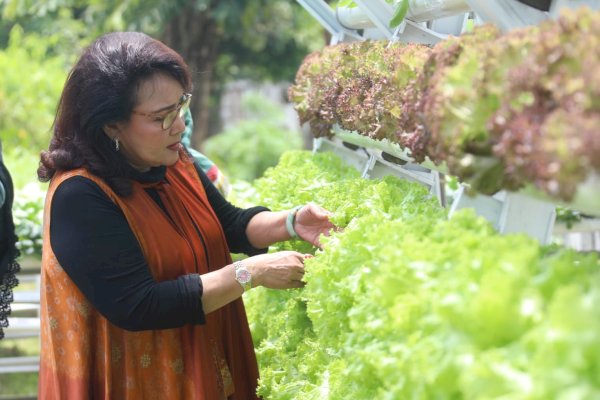 Ketua Bidang Pangan Oase-KIM Dorong Masyarakat Manfaatkan Pekarangan Rumah Sebagai Sumber Makanan Sehat
