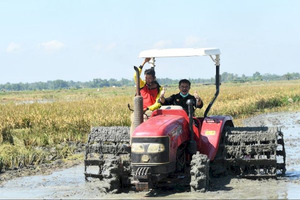 Untung! Senangnya Petani di Rembang Jateng, Berkat Alsintan dari Kementan Hasil Panennya Menggembirakan