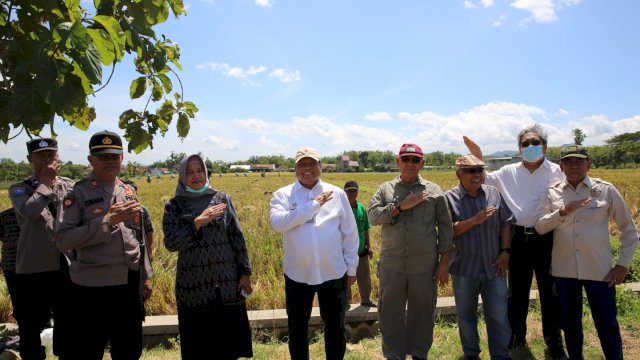 Panen di Sragen, Harga Gabah Langsung Anjok Menjadi Rp5.200