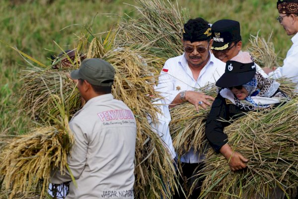 Panen Padi di Kabupaten Bekasi Melimpah, ini Pesan dan Harapan Petani