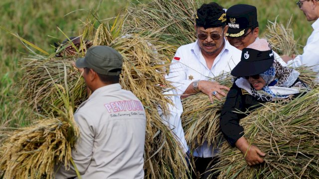 Panen Padi di Kabupaten Bekasi Melimpah, ini Pesan dan Harapan Petani