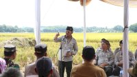 Masuk Musim Panen Padi, Mentan SYL Cek Kesiapan Penggilingan di Kabupaten Bogor