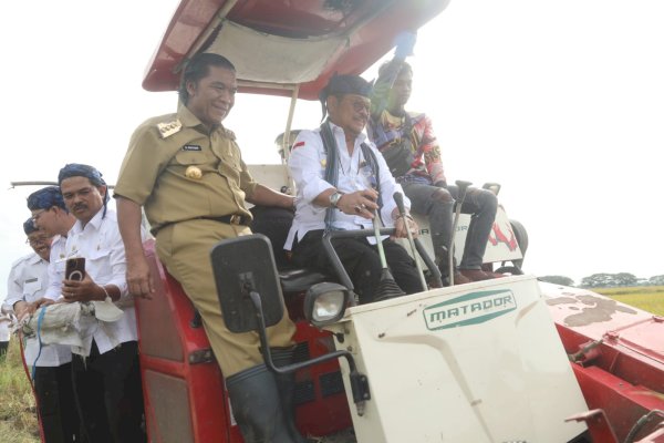 Panen Raya Padi di Banten, Mentan: Ketersediaan Beras Aman
