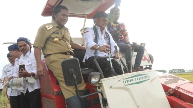 Panen Raya Padi di Banten, Mentan: Ketersediaan Beras Aman