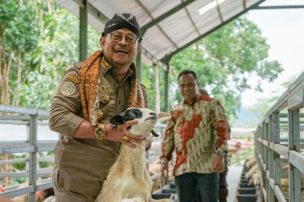 Mentan SYL Dorong Produksi Kambing dan Domba Kulon Progo Banjiri Kebutuhan Nasional