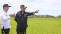 Mentan SYL Pastikan Food Estate Kalteng Berkembang, Produktivitas Padi Capai 5 Ton Per Ha