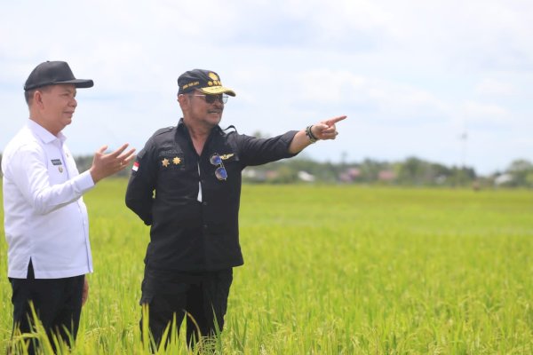 Mentan SYL Pastikan Food Estate Kalteng Berkembang, Produktivitas Padi Capai 5 Ton Per Ha