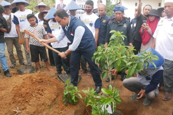 Di Lampung Tengah, Anies Tanam Bibit Pohon Alpukat Jenis Aligator