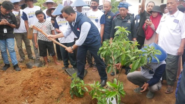 Di Lampung Tengah, Anies Tanam Bibit Pohon Alpukat Jenis Aligator