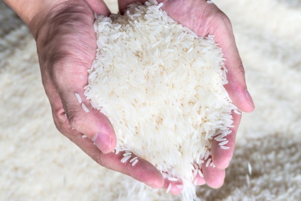 Rektor Musi Rawas: Beras Impor Tak Mampu Turunkan Harga Dalam Negeri