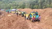 Tak Bisa Dilewati, Ratusan Truk Terjebak di Jalan Trans-Papua Jayapura-Wamena
