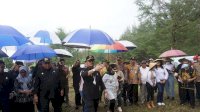 Kembangkan Kelapa Genjah Klaster Pariwisata di Kabupaten Batang, Mentan SYL Dorong Peningkatan Kelapa Kelas Dunia