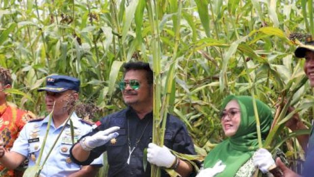 Tanam Sorgum di Konawe Selatan, Mentan SYL Dorong Bupati dan Petani Gunakan KUR