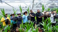 Mentan SYL Launching Pusat Nursery Kelapa Genjah di Kabupaten Batang