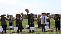 Serikat Petani Sambut Baik Panen Raya Padi