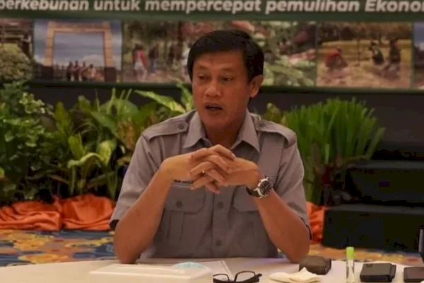 Food Estate Kapuas dan Pulang Pisau Berproses dengan Baik